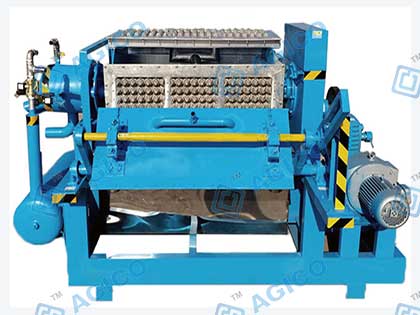 1000 pieces/h Egg Tray Machine