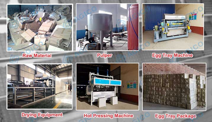 2000 pieces-h Egg Tray Production Process