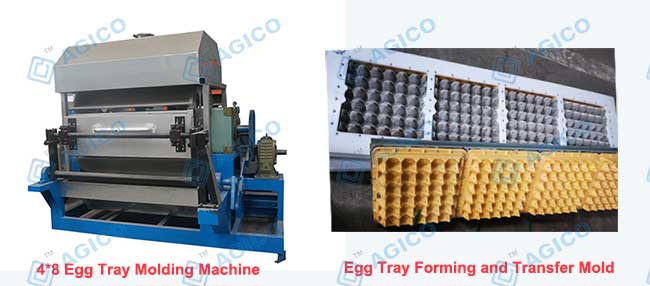 4*8 Mold Egg Tray Making Machine