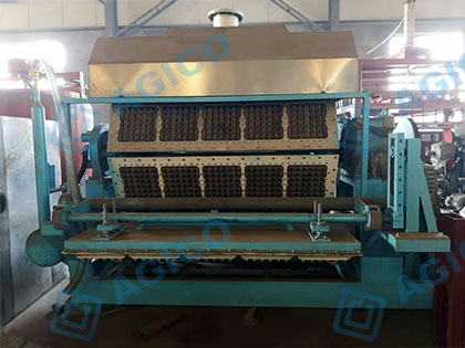 5000-pieces-egg-tray-making-machine-for-sale