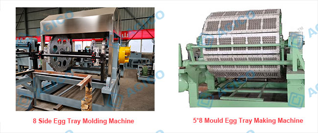 5000 pieces/h Egg Tray Making Machine