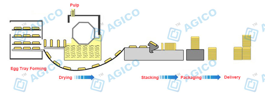 EggTray Forming and Drying