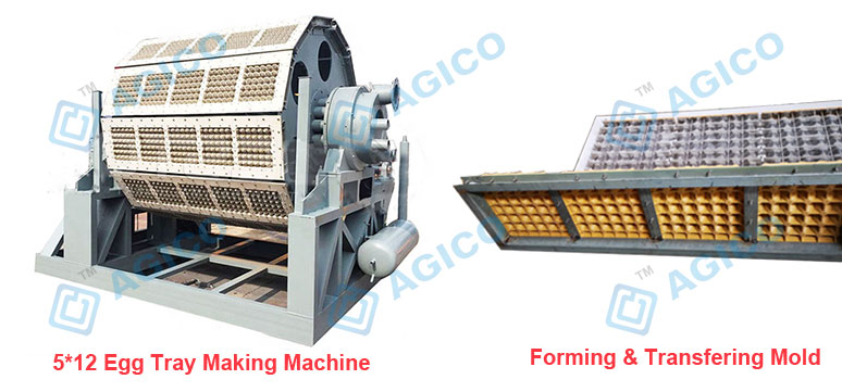 6000 Pieces Egg Tray Machine