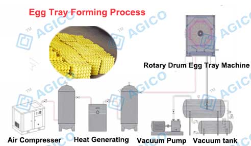Egg Tray Forming Process