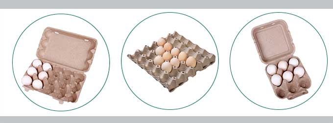 Egg Trays and Egg Carton Product