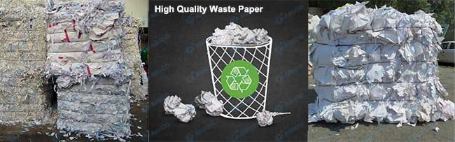 Waste Paper for Egg Tray Making