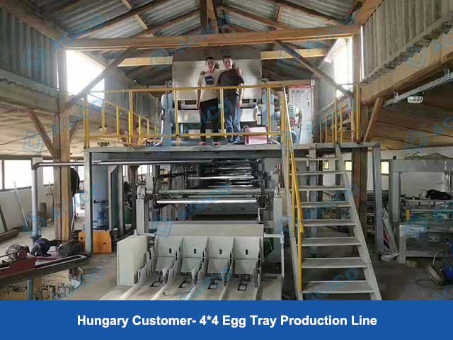 Hungary Customer- 4*4 Egg Tray Production Line