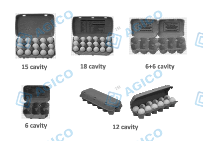 various egg carton cavity types