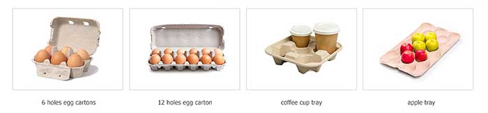 Egg Tray and other Paper Tray Product