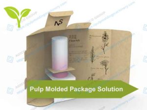 Pup Molded Package Solutions