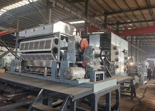 8-side-automatic-eggtray-production-line-for-sale