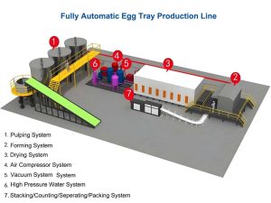 Automatic Eggtray Production Line