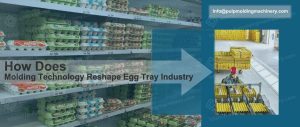 Molding Technology Reshape Egg Tray Industry