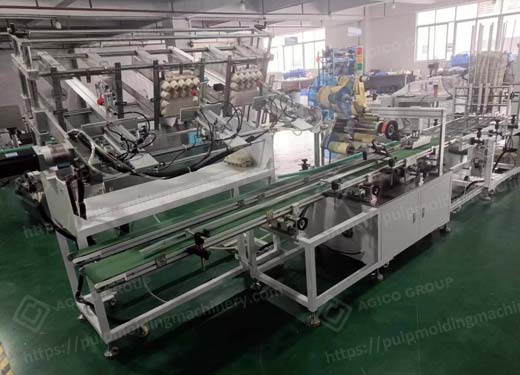 automatic-egg-carton-packing-and-counting-machine