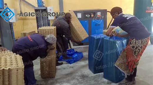Plastic-Film-Solution-for-Egg-Tray-Package