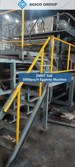 ZMDT-5x8-Eggtray-Making-Machine-Install ZMDT 5x8 Eggtray Making Machine Install