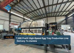 7000 Pcs/H Eggtray Production Line Delivery To Zambia